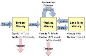 How Attention Relates to Memory Processes and Storage