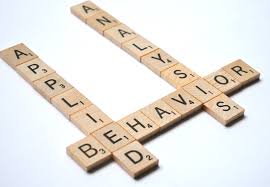 Behavior Analysis Job Description