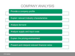 Industry & Company Analysis Project