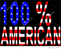 Essay on one hundred per cent American