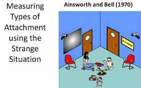 Application of Attachment Theory to a Case Study