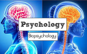 Biopsychology Pinal & Barnes 2