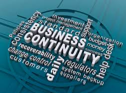 Business Continuity Planning and Strategies