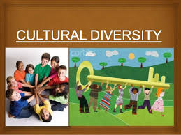 Cultural differences and diversity