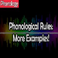 Essay Questions Phonological Awareness