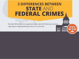 Federal and State Crime