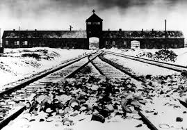 History of National Socialism through the Holocaust