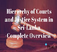 Judicial and Individual Involvement in Court System