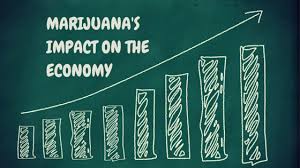 Impact of drug legalization on the economy