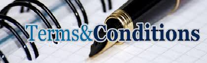 ONLINE ESSAY OUR TERMS AND CONDITIONS