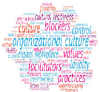 Organization of the Future Organizational Cultures