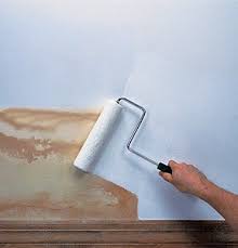 Primer of paint