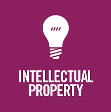 Intellectual Property and Capital