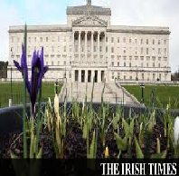 Political Science Irish Studies and Parliamentary Affairs