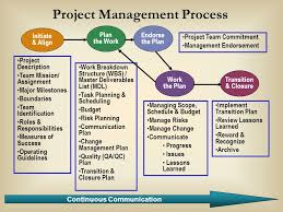 Project Management Structure and Budget