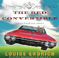 Short Fiction Essay Story on the Red Convertible