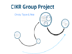 The Purpose of the CIKR Research Project