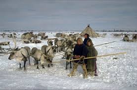 Indigenous populations in the Arctic