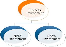 Describe the environment in which business operates
