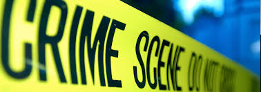 Sociology: Crime and Criminal Justice Paper