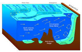 Surface Currents of the Oceans