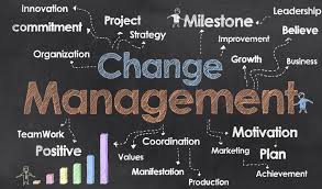 Organizations and changes