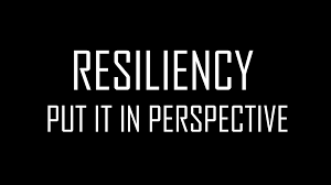 Resiliency perspective