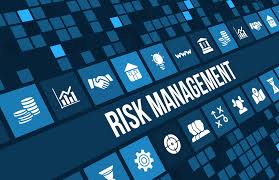 Risk Management on a Satellite Development