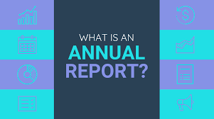 Annual Report Project