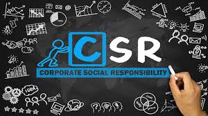Social Responsibility Business Audit