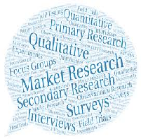 Applied Research Methods and Skills for Business