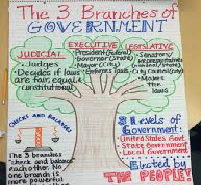 Branches and Layers of Government