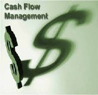 Cash Flow Management Purpose of Assignment