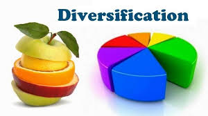 Diversification and its relation to the opportunity cost of capital