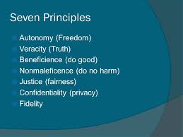ethics principles health care seven