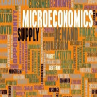 Economics Micro Quiz Preparation Essay Paper
