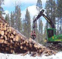 Forest Industry all over Canada