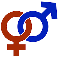 Gender is A Fundamental Social Division