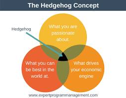 Leadership Hedgehog Concept