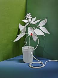 The Intelligent plant