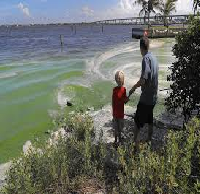 Lake Okeechobee and Water Pollution Research