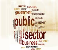 Political Economy of the Public Sector