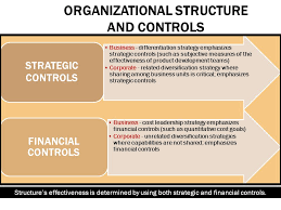 Strategic controls and financial controls