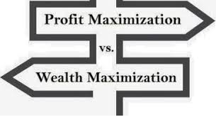 Shareholder Wealth and Profit Maximization