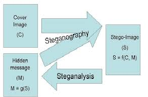Steganography Software Research Paper