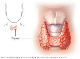 Seizure disorder and thyroiditis