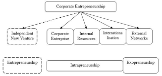 Unique Nature of Corporate Entrepreneurship