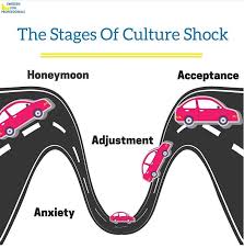 Culture Shock and the Ethnographic Method