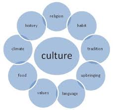 Important aspects of culture