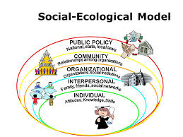 Ecological Model